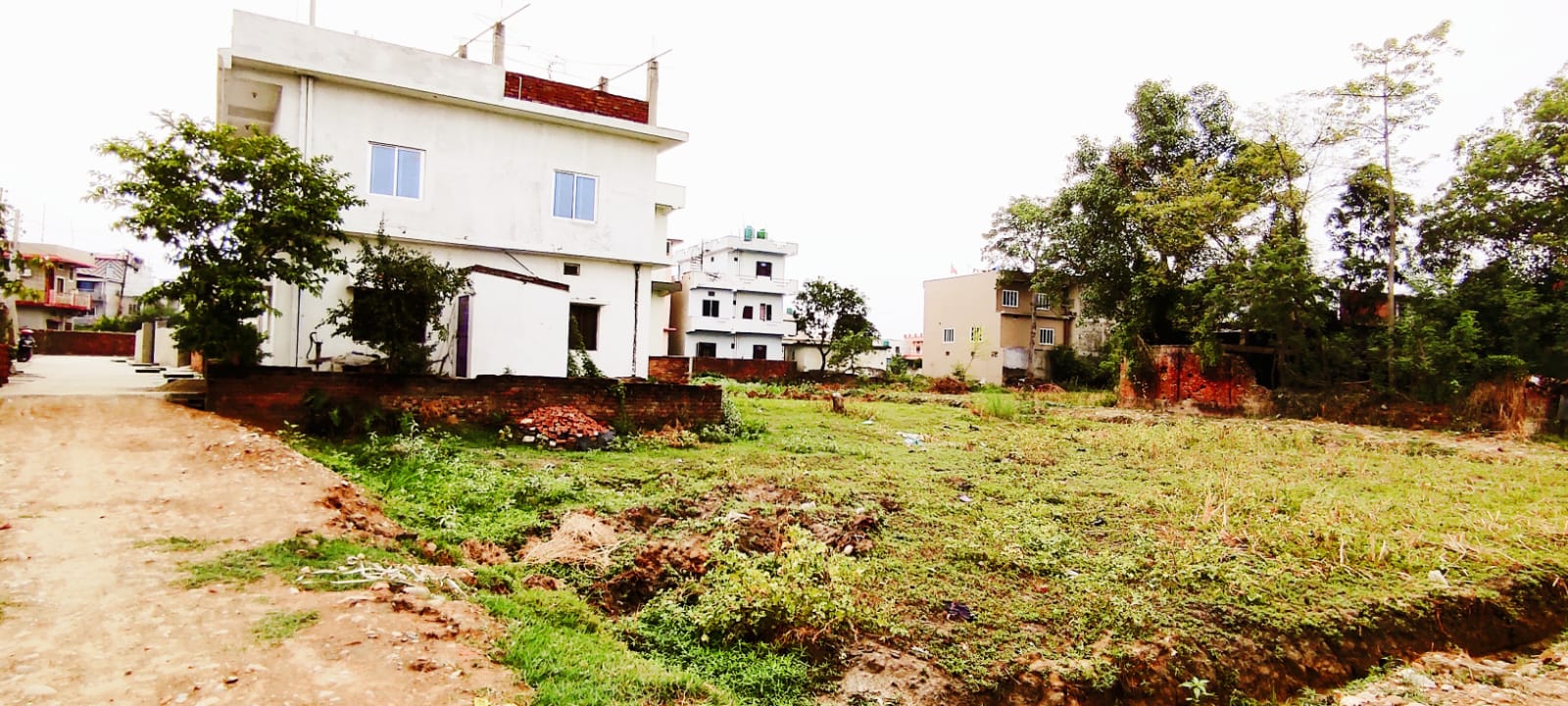 Prime East-Facing Land for Sale Pipal Chautara, Nepalgunj-1 photo 1